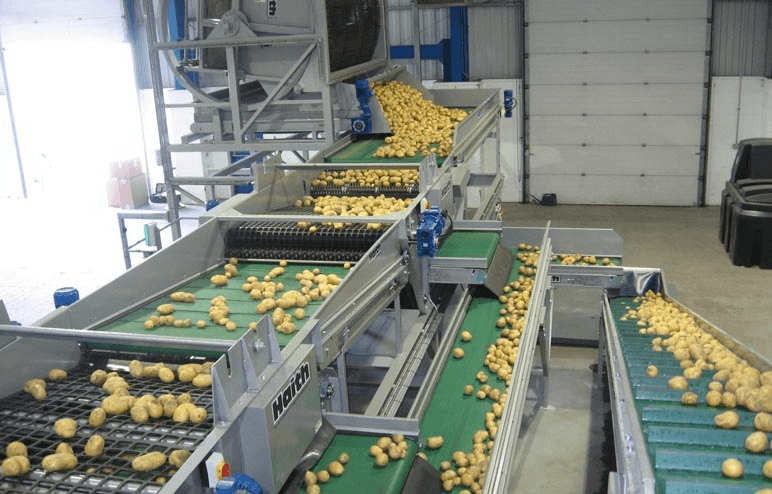 Bang-tai-rau-cu-su-dung-trong-nganh-thuc-pham-01