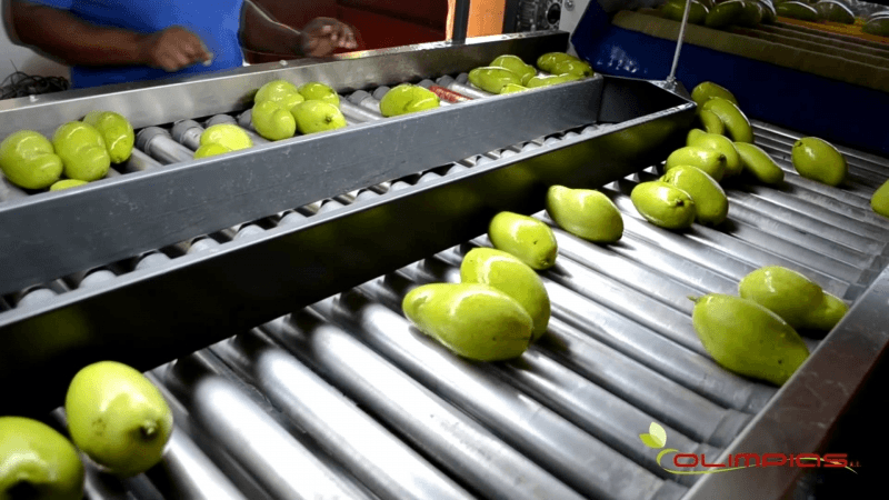 Bang-tai-rau-cu-su-dung-trong-nganh-thuc-pham-02