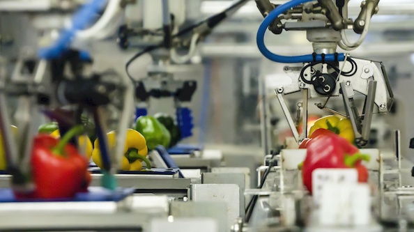 Robot và tự động hóa trong ngành công nghiệp thực phẩm và tương lai của nó