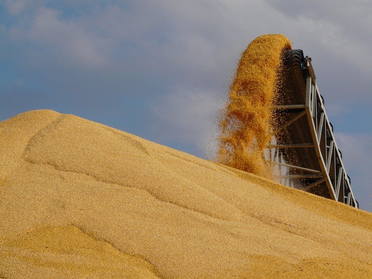 Ai thiết lập tiêu chuẩn chất lượng băng tải