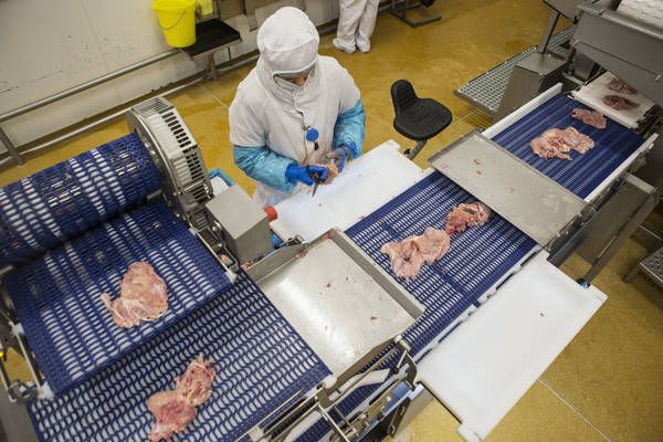 Băng tải hợp vệ sinh để chế biến thực phẩm