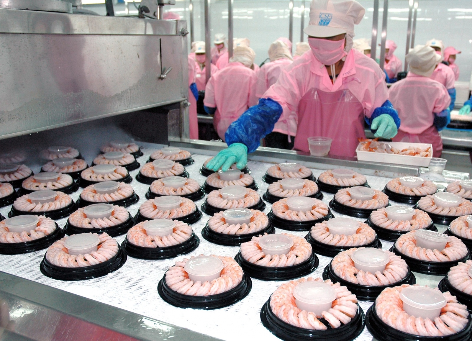 Băng tải hợp vệ sinh để chế biến thực phẩm