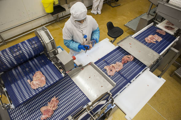 Băng tải chịu dầu và lợi ích trong ngành công nghiệp