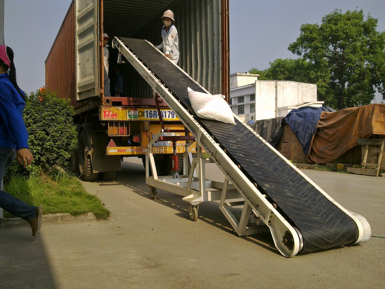 băng tải lúa gạo