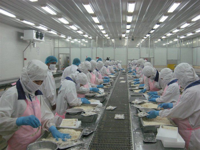 băng tải thực phẩm