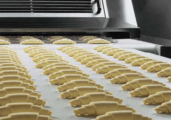 băng tải PVC trắng thực phẩm