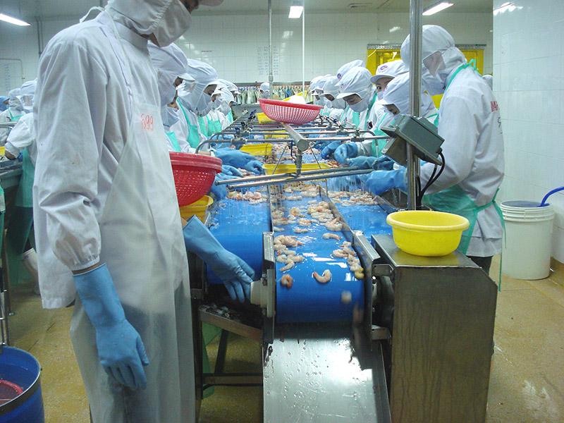 Sử dụng băng tải trong ngành thực phẩm mang lại lợi ích gì