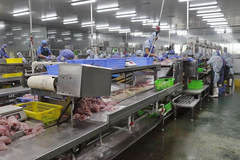 Dây curoa và băng tải cho ngành nông sản thực phẩm