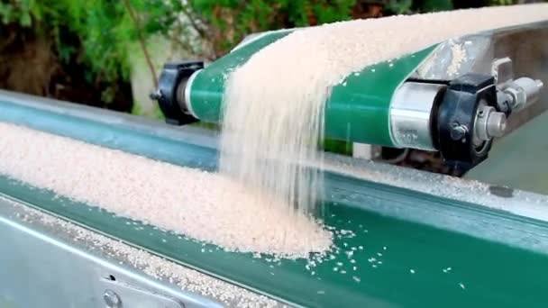 Công dụng của dây curoa băng tải trong ngành nông nghiệp