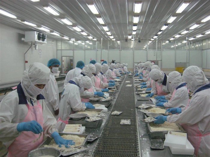 băng chuyền chế biến