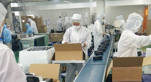 Thi công băng chuyền chế biến Việt Thống Hưng Thịnh