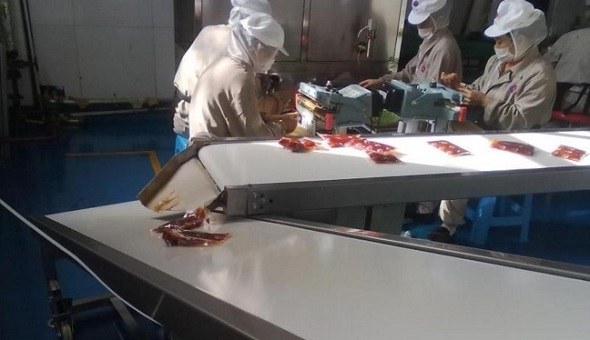 Băng tải phi lê cá và đặc điểm chất lượng trong quá trình vận chuyển