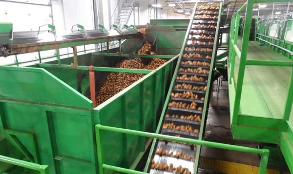 5 điều nên làm để đảm bảo tuổi thọ băng tải dài lâu