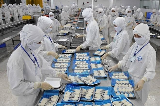 Băng tải hàng tạo nên bước chuyển mình cho ngành thủy sản Việt Nam