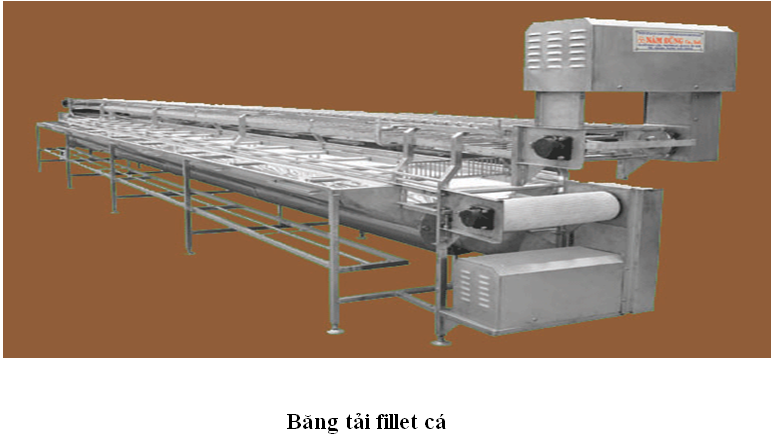 Băng tải phi lê cá trong ngành công nghiệp thực phẩm