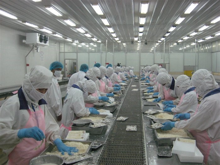 Lợi ích khi sử dụng băng tải thực phẩm trong sản xuất