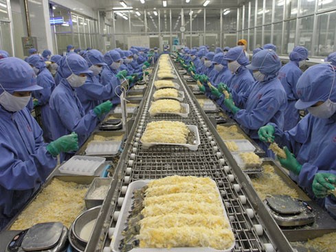 Lợi ích từ việc sử dụng băng tải thủy sản trong sản xuất