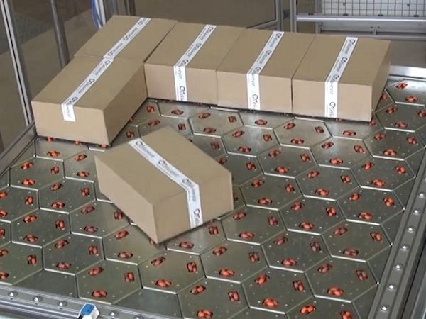 Mẹo giúp băng tải thực phẩm xử lý mùi hiệu quả