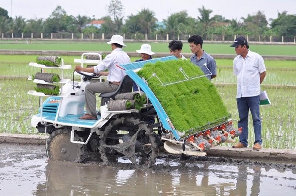 Những thiết bị hỗ trợ đắc lực trong ngành sản xuất và chế biến lúa gạo
