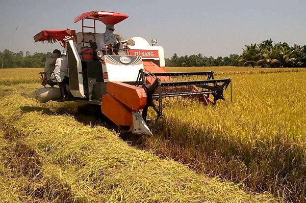 Những thiết bị hỗ trợ đắc lực trong ngành sản xuất và chế biến lúa gạo - 02