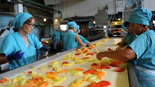 Top 10 các loại băng tải sử dụng trong ngành công nghiệp thực phẩm