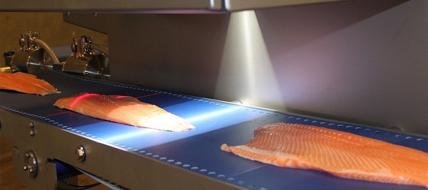 Ứng dụng băng tải phi lê cá vào chế biến thực phẩm