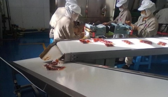 Ứng dụng vượt trội của hệ thống băng tải thực phẩm