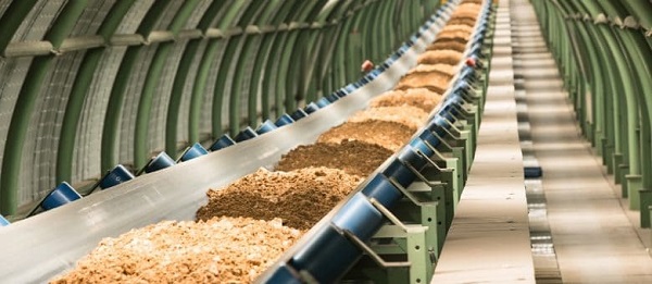 Vận hành băng tải tốt để ngăn ngừa tai nạn