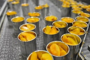 Băng chuyền chế biến giải pháp vàng cho ngành thực phẩm chế biến tại Việt Nam