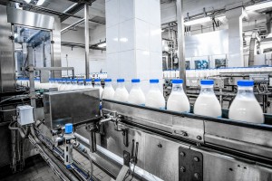 Băng tải hợp vệ sinh và có thể làm sạch đáp ứng nhu cầu cao nhất cho ngành sữa