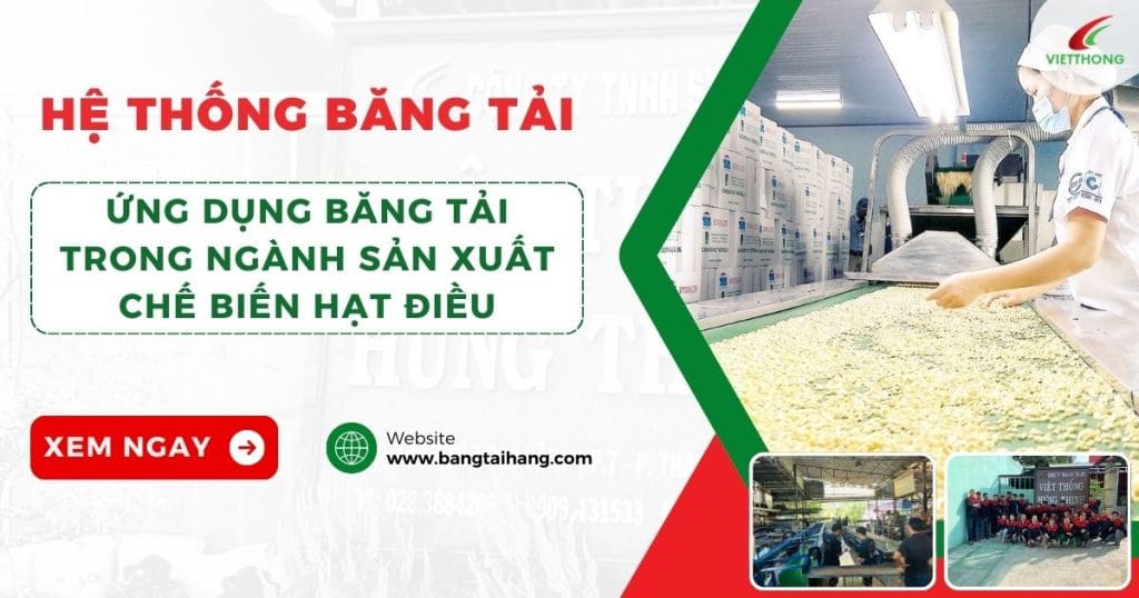 Ứng Dụng Băng Tải Trong Sản Xuất Chế Biến Hạt Điều 1 băng tải ngành chế biến hạt điều