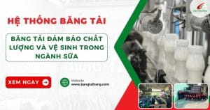 băng tải trong nhành sữa