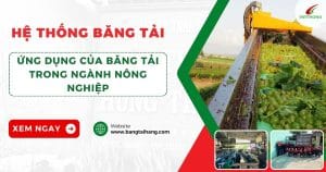 Băng tải trong ngành nông nghiệp