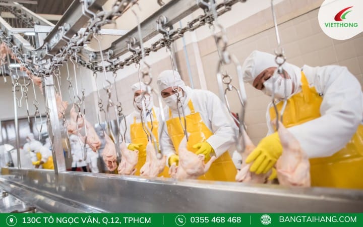 Giảm tiếng ồn cho băng tải để tăng năng suất làm việc